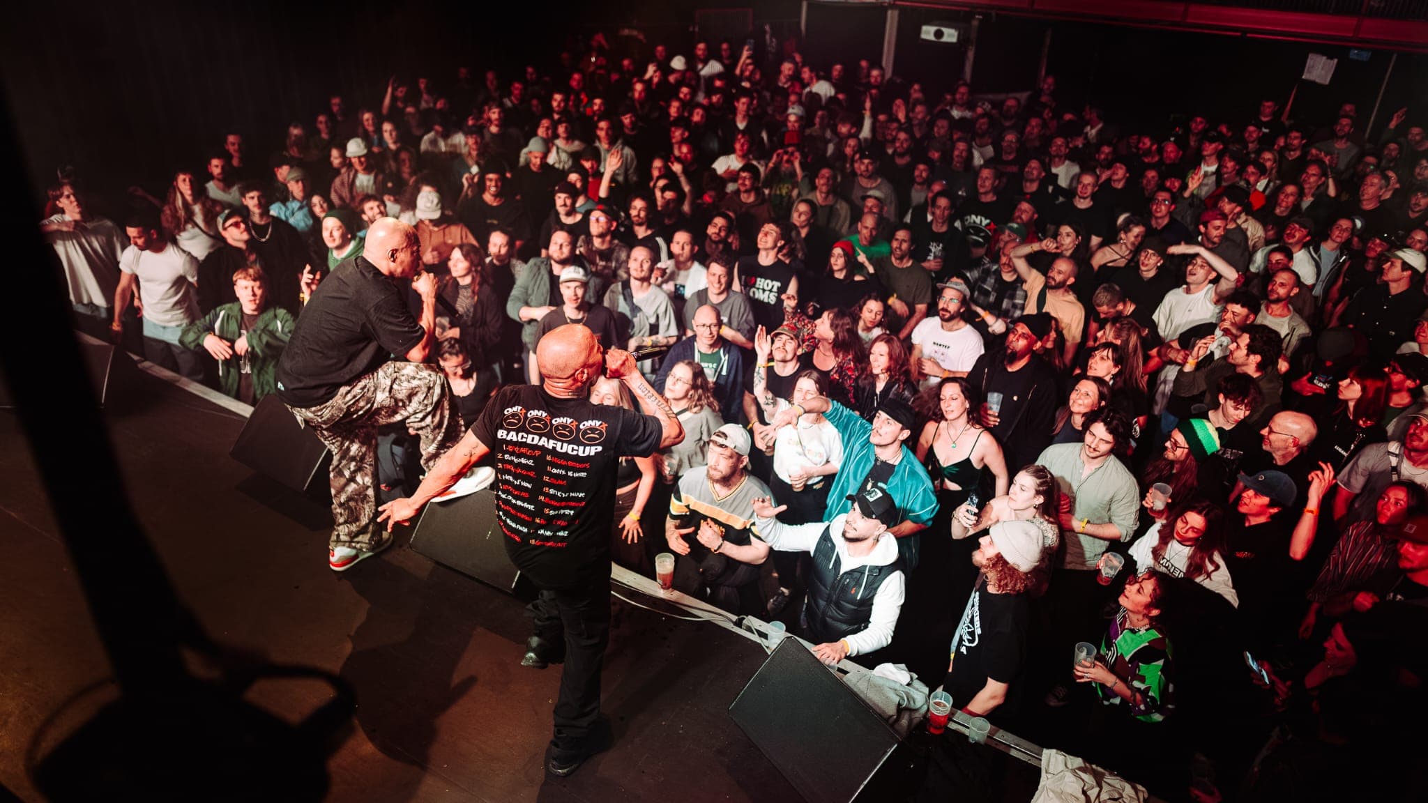 LARGE PROFESSOR - Image 1